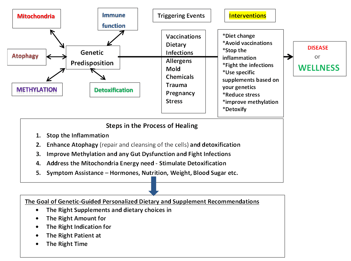 Genetic Testing – A Discovery into knowing exactly why you don’t feel well and what you can do to dramatically improve your health!