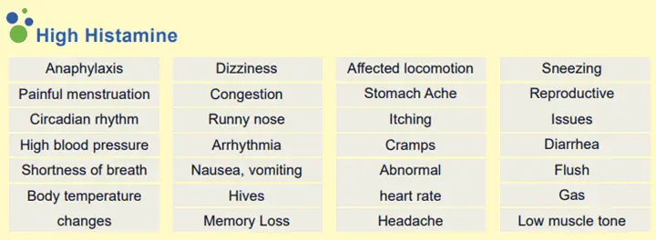 Advanced Intestinal Barrier Assessment