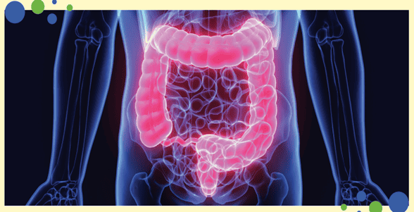 Advanced Intestinal Barrier Assessment