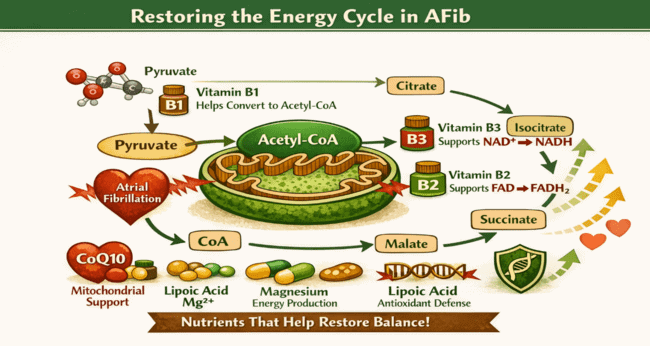 Atrial Fibrillation